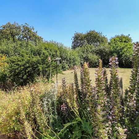 Hops Cottage Ashbourne  Bagian luar foto