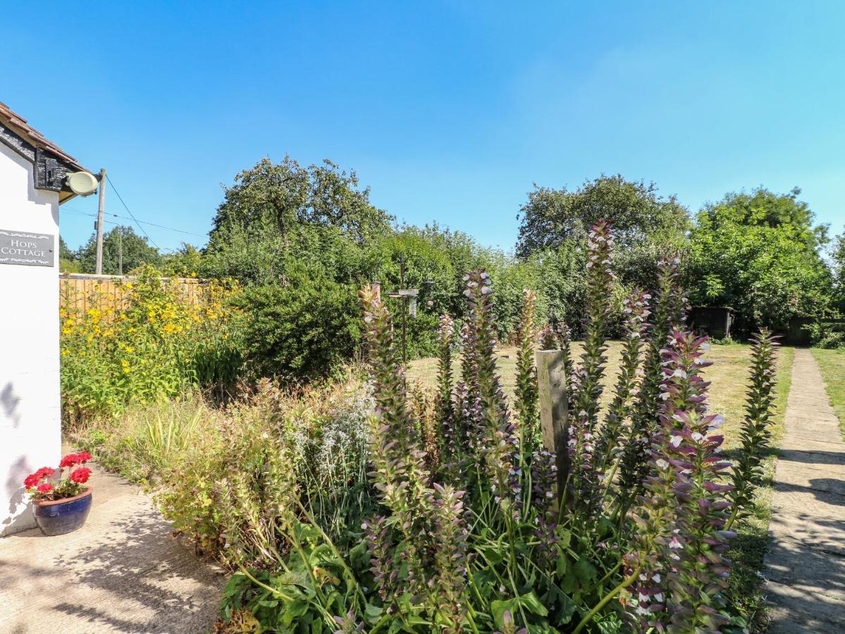 Hops Cottage Ashbourne  Bagian luar foto